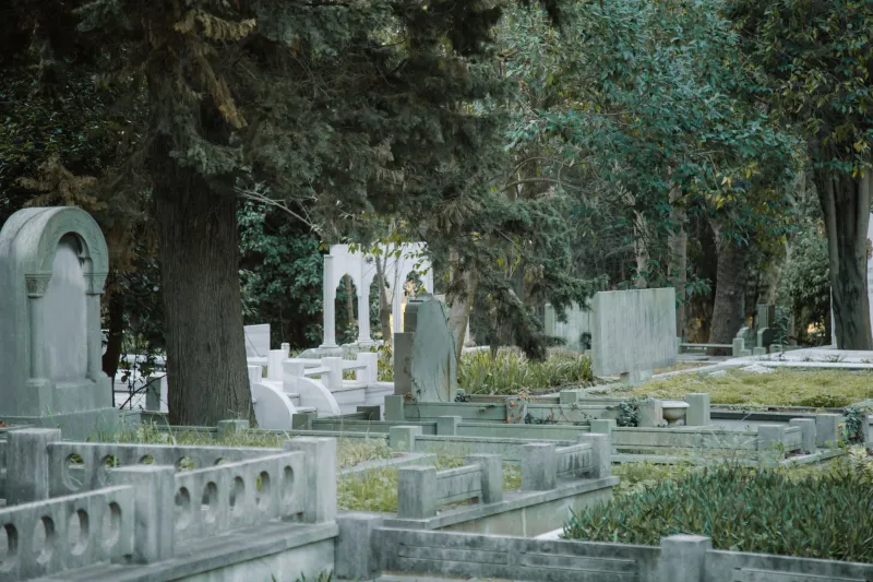 The Ghost in the Photo That Couldn't Have Been There — But Was