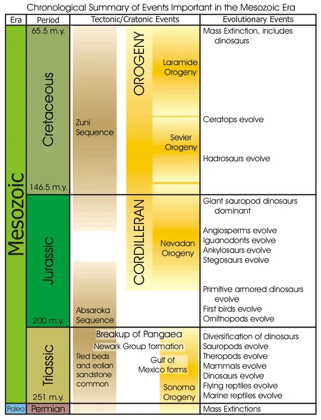 Mesozoic era
