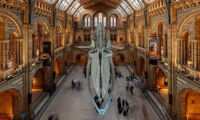 The Dinosaur That Was Never Quite One Dinosaur: The Skeleton That Fooled Museum Visitors for Decades