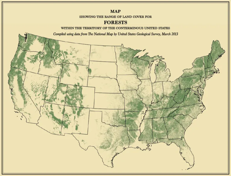 Population: Nobody. The Phantom Town That Fooled the U.S. Census for Decades