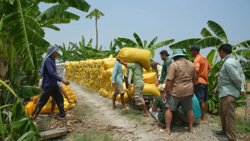 When Big Business Literally Bought Countries: The Fruit Empire That Made Nations Dance to Corporate Tune